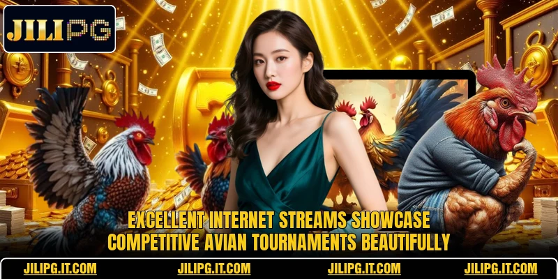 Excellent internet streams showcase competitive avian tournaments beautifully Excellent internet streams showcase competitive avian tournaments beautifully