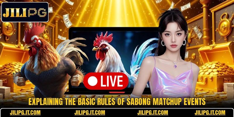 Explaining the basic rules of Sabong Matchup events Explaining the basic rules of Sabong Matchup events