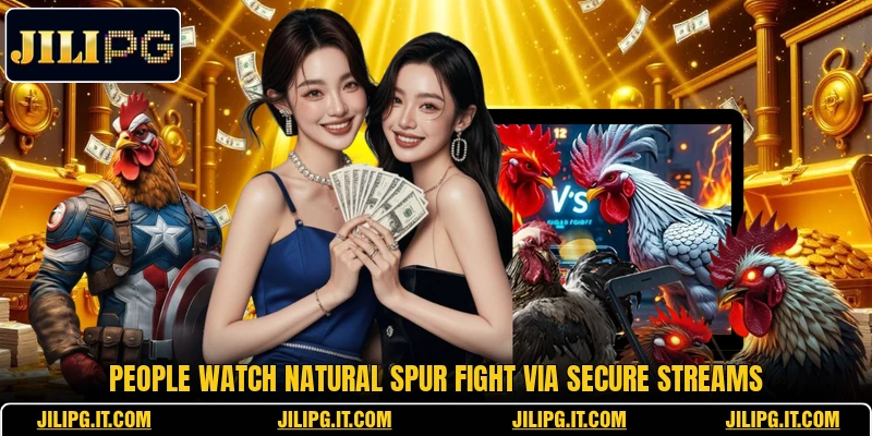 People watch Natural Spur Fight via secure streams People watch Natural Spur Fight via secure streams